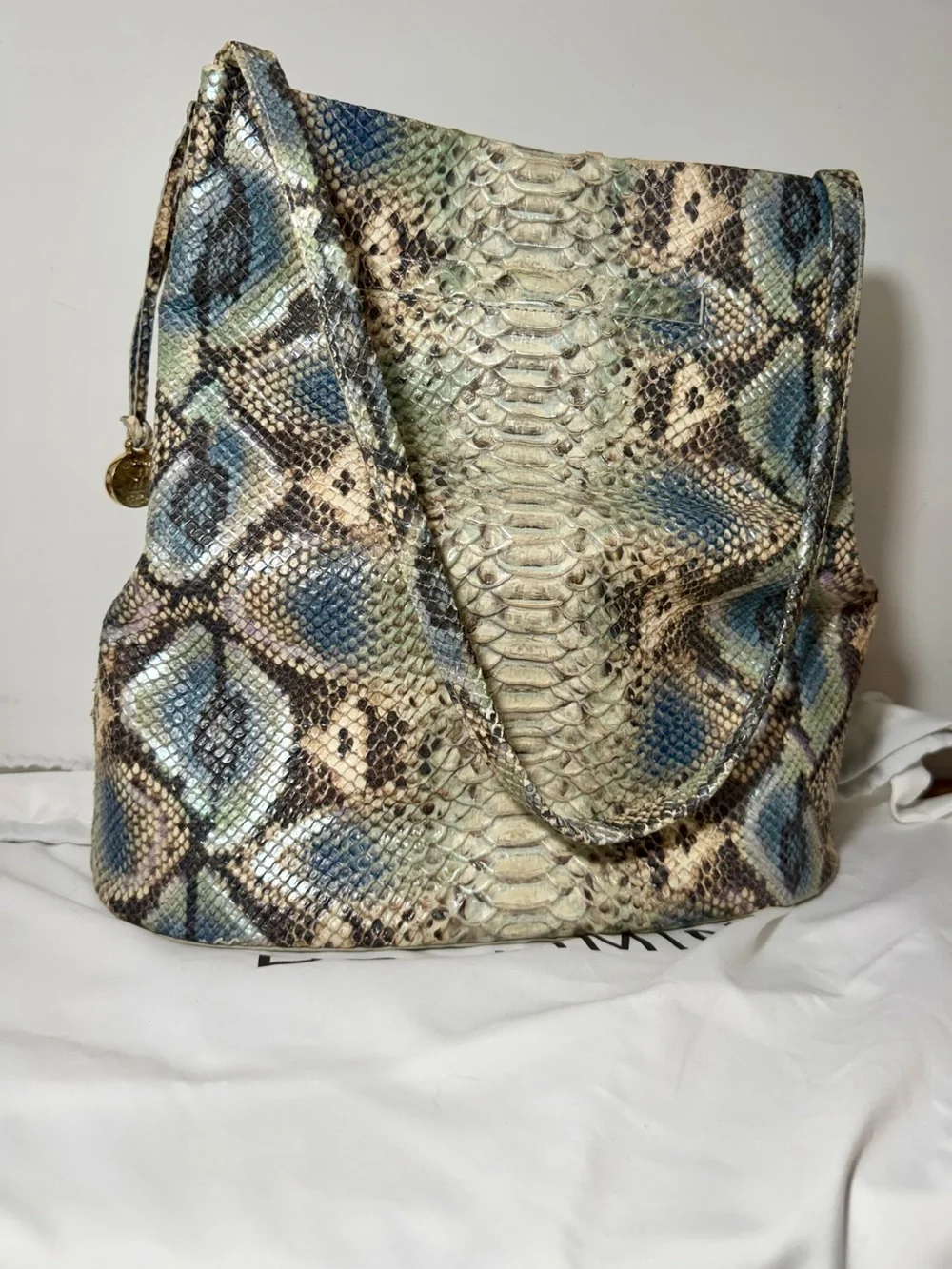 Brahmin this molly